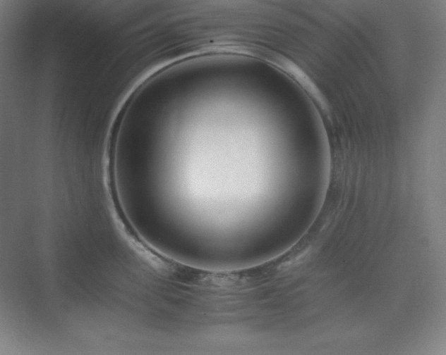 X0000075410955200609151843