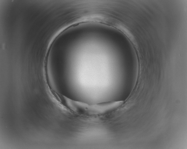 X0000075410960200609151844