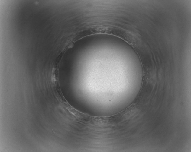 X0000075410962200609151843