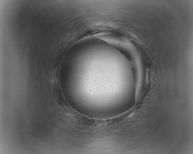 X0000075410965200609151843