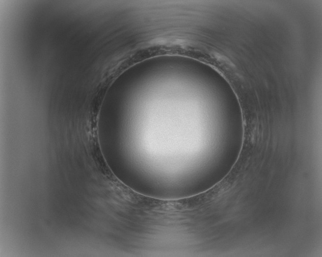 X0000075410966200609151843