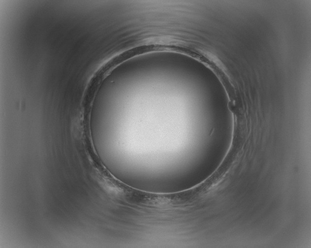 X0000075410971200609151843