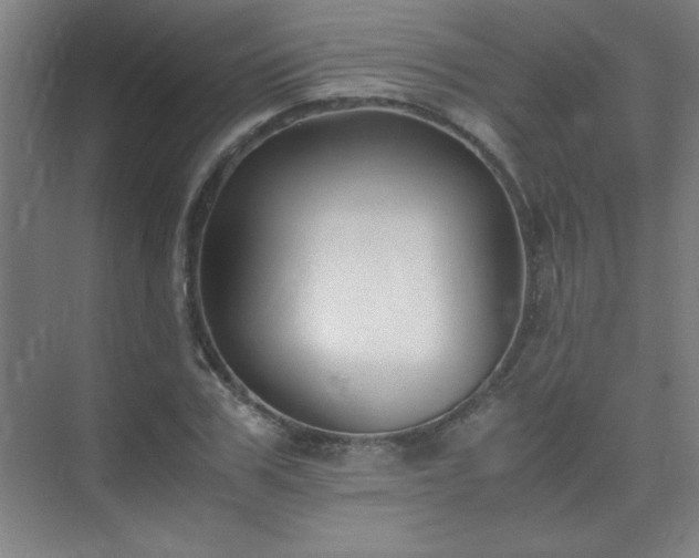 X0000075410979200609151842