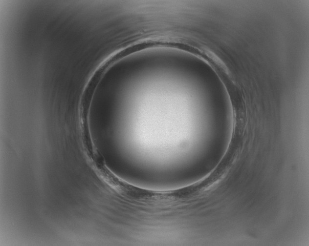 X0000075410981200609151842