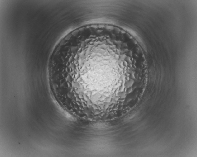 X0000075410998200609151842