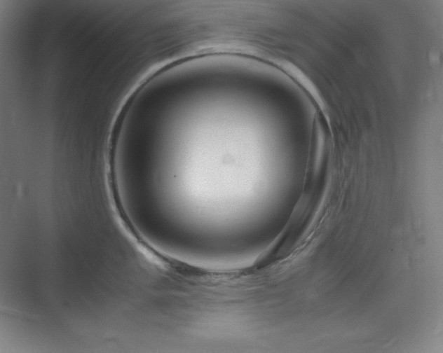 X0000075411005200609151842