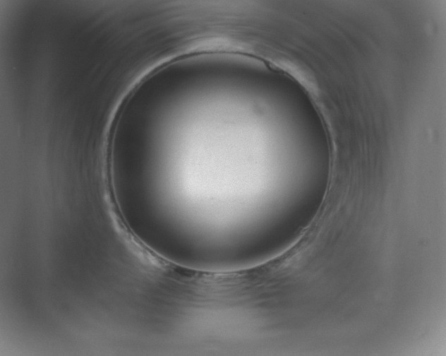 X0000075411008200609151842
