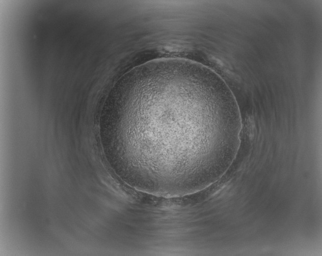 X0000075411009200609151841