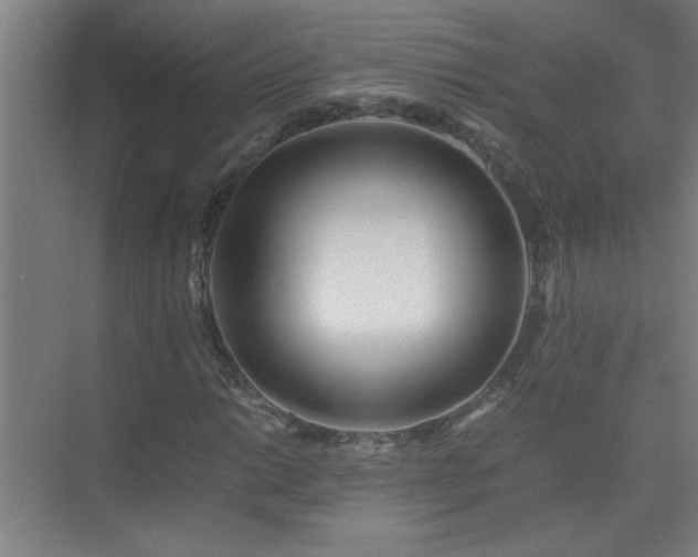X0000075411014200609151841