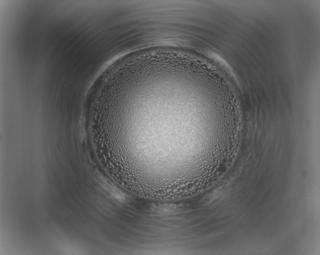 X0000075411019200609151841