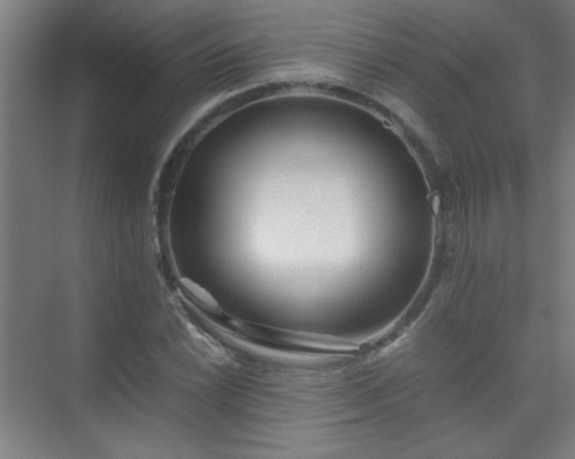X0000075411022200609151841