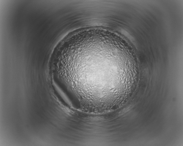 X0000075411023200609151841