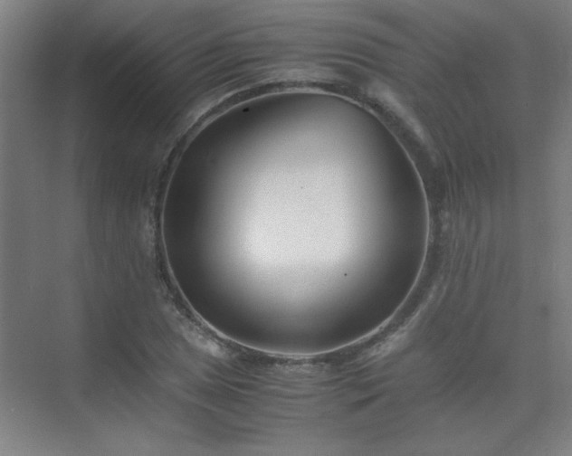 X0000075411025200609151841