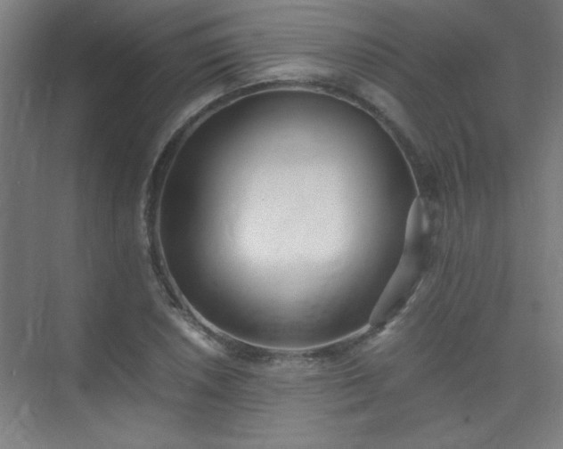 X0000075411026200609151841