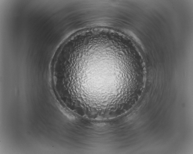 X0000075411031200609151841