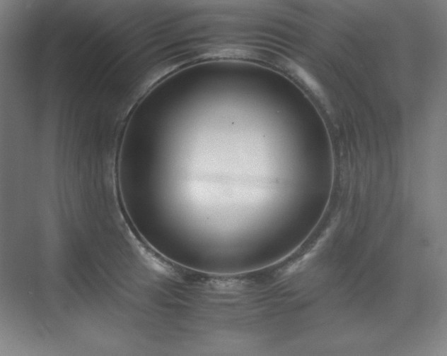 X0000075411041200609151842