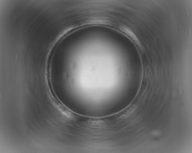 X0000075411043200609151842