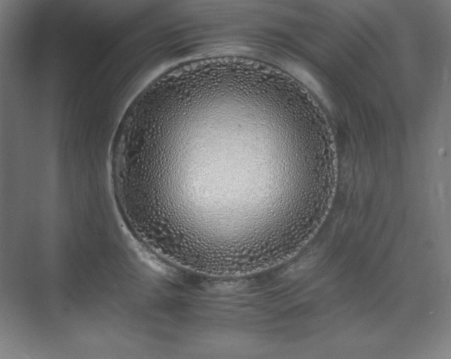 X0000075411047200609151842