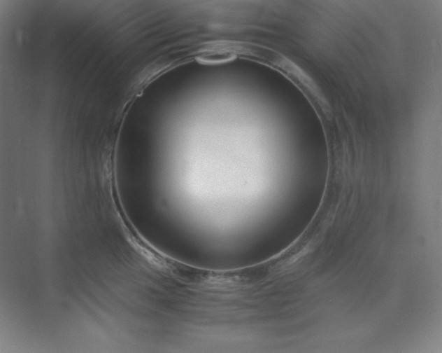 X0000075411049200609151842