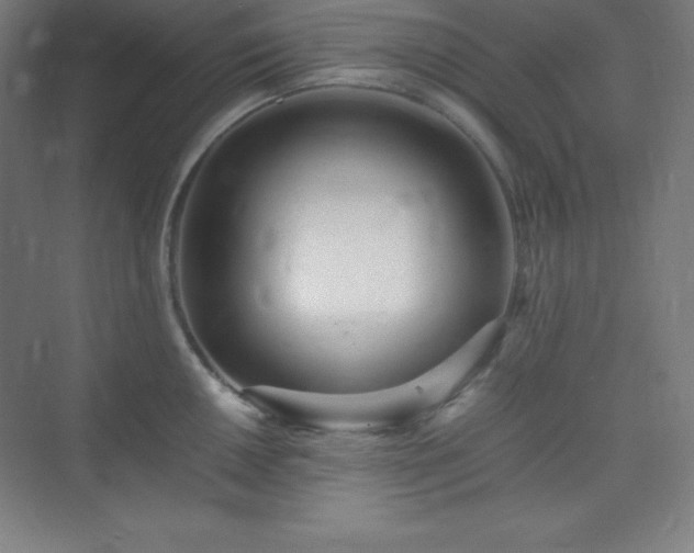 X0000075411050200609151842