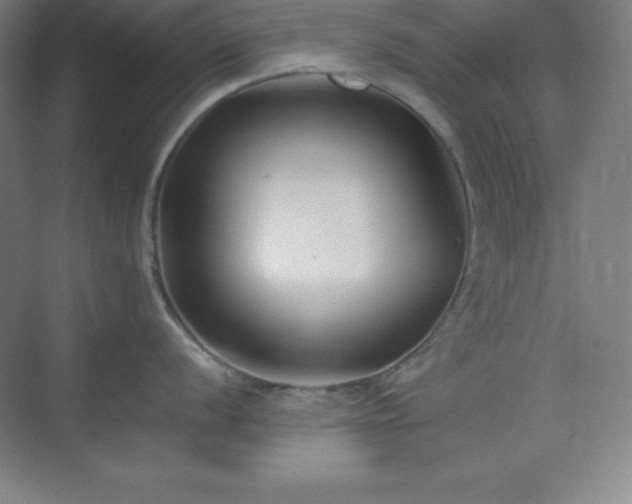 X0000075411056200609151842