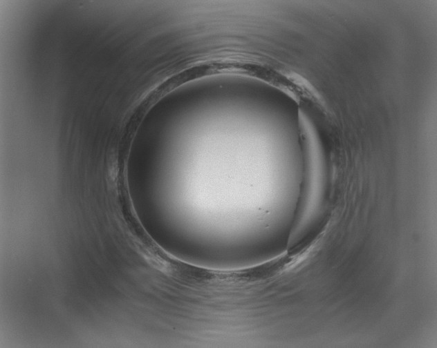 X0000075411065200609151841