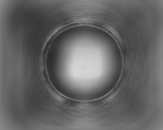 X0000075411075200609151841