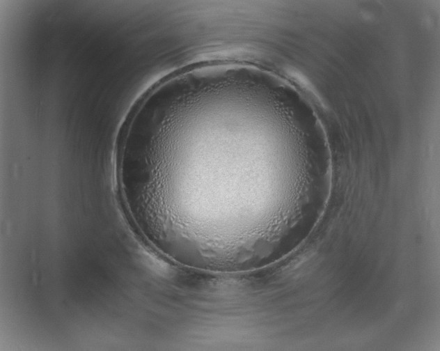 X0000075411079200609151841