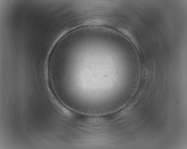 X0000075411083200609151841
