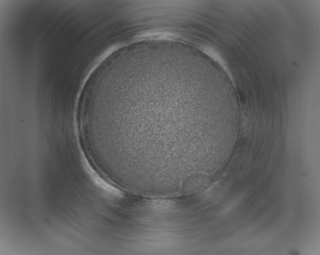 X0000075411090200609151841