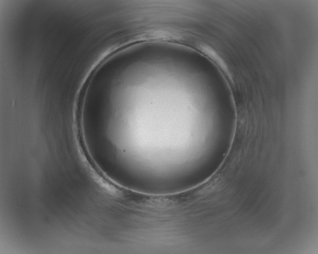 X0000075411091200609151841