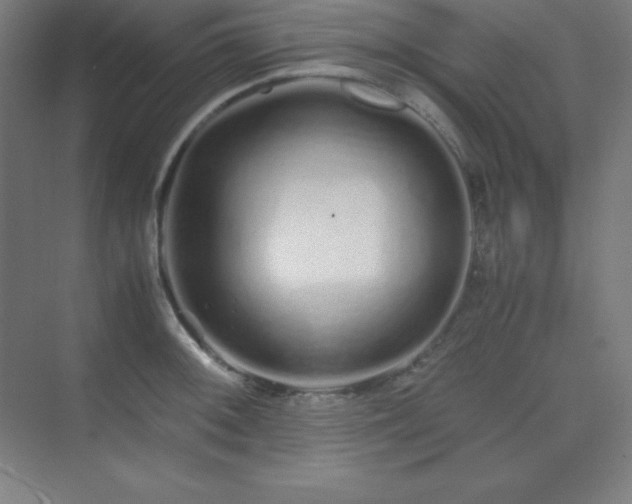 X0000075411092200609151840