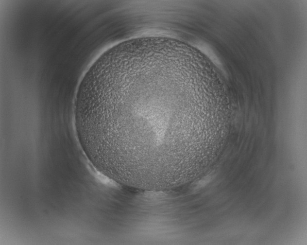X0000075411094200609151840