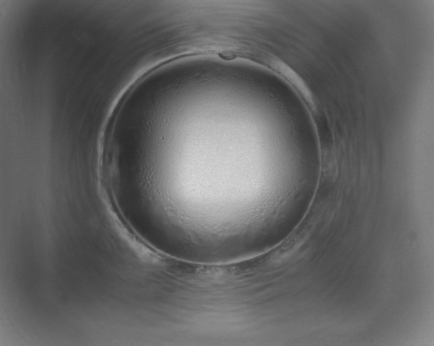 X0000075411099200609151840