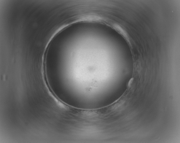 X0000075411103200609151840
