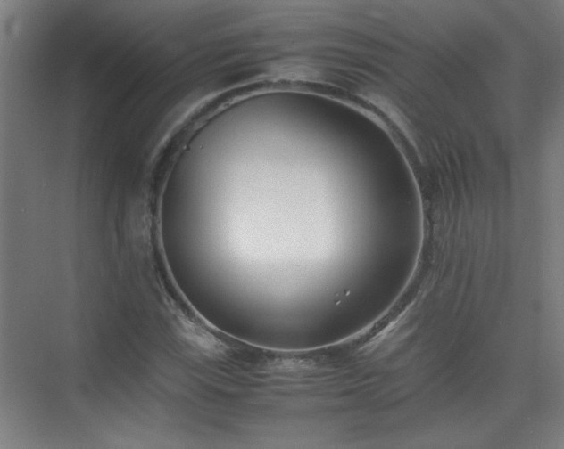 X0000075411115200609151840