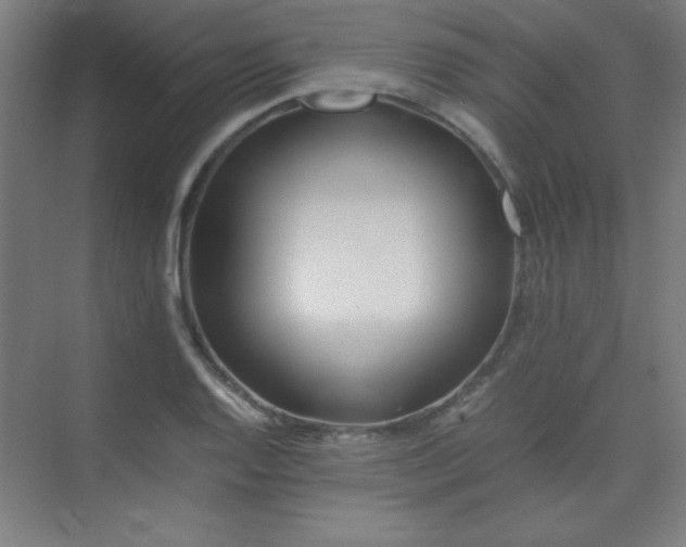 X0000075411128200609151840