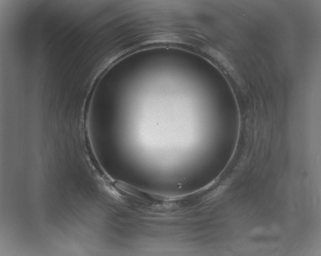 X0000075411129200609151840