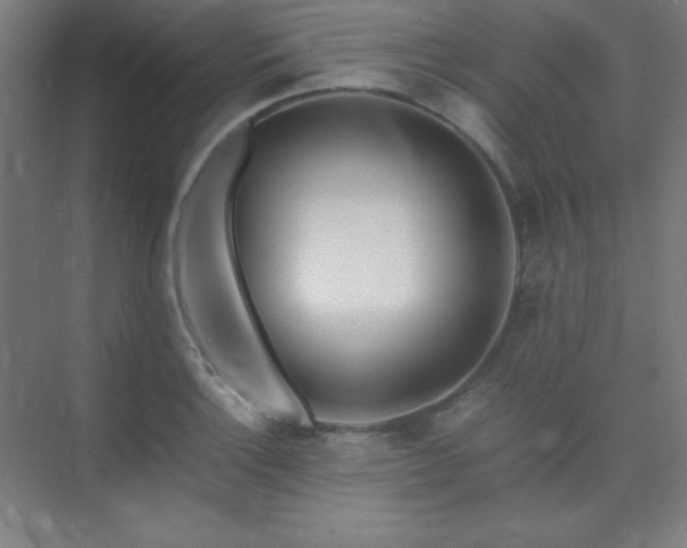 X0000075411132200609151840