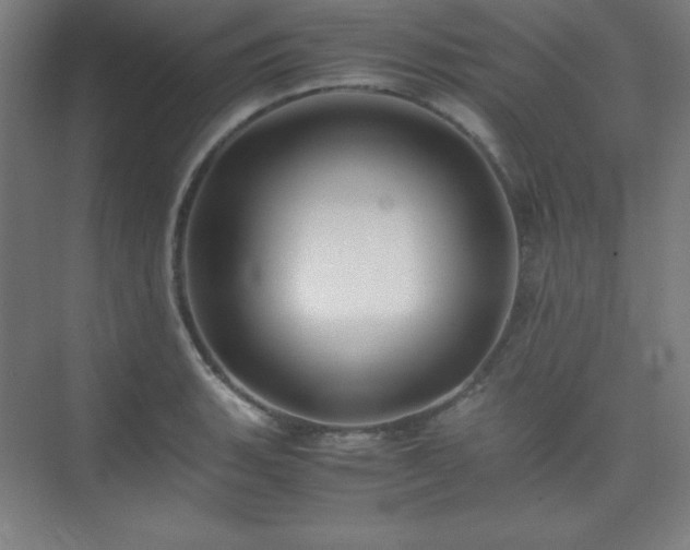 X0000075411135200609151840