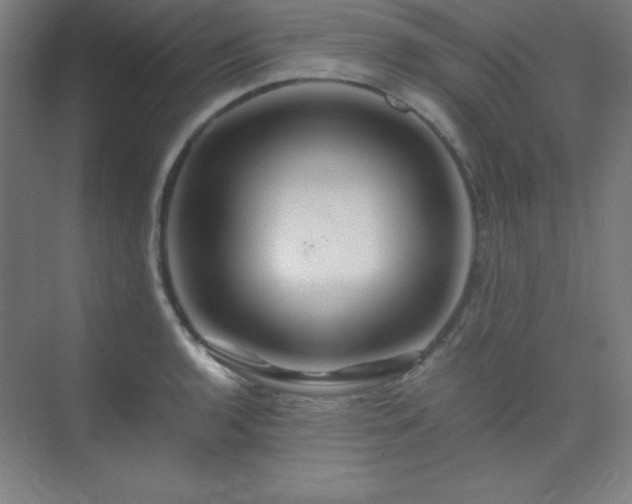 X0000075411136200609151840