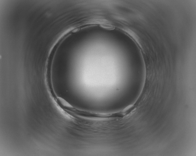 X0000075411139200609151840