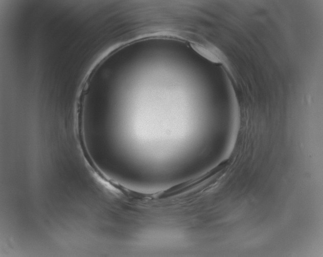 X0000075411151200609151840