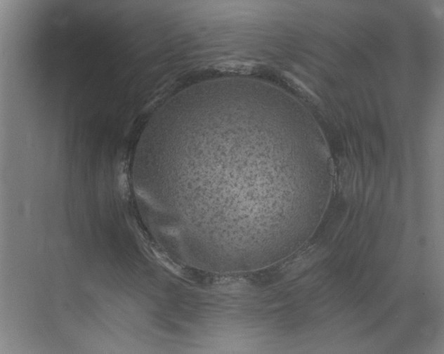 X0000075411154200609151839