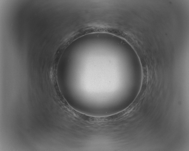 X0000075411157200609151839