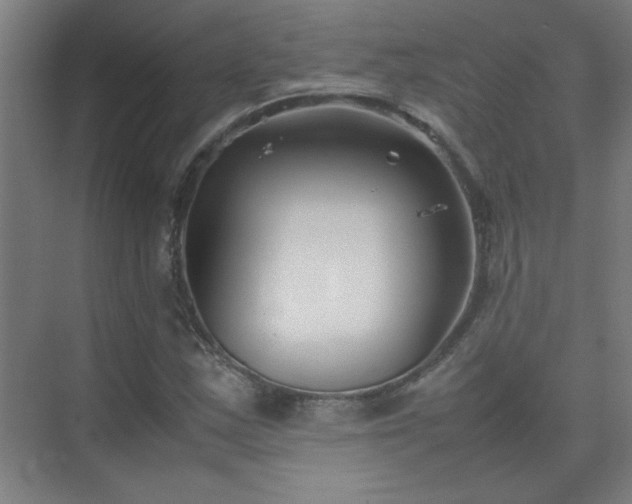 X0000075411163200609151839