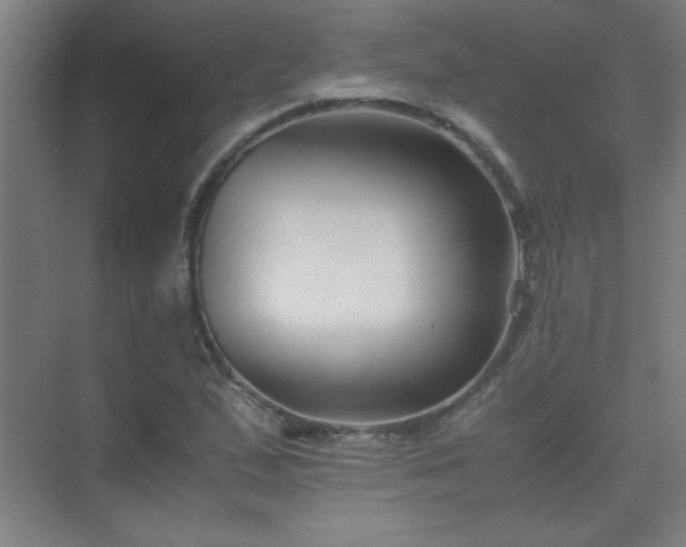 X0000075411167200609151839