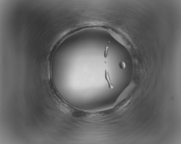 X0000075411171200609151839