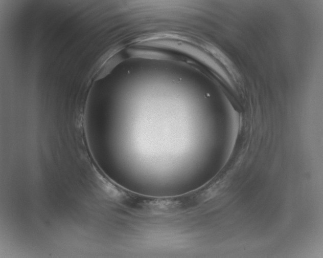 X0000075411193200609151839