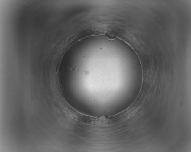X0000075411201200609151838